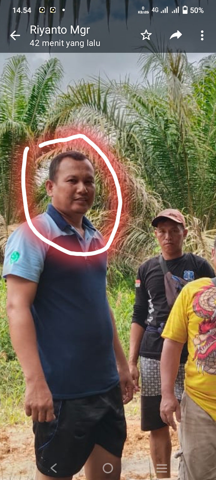 Caleg DPRD Gunung Mas di Duga Mencuri Buah Sawit di Kebun Koperasi SRHB