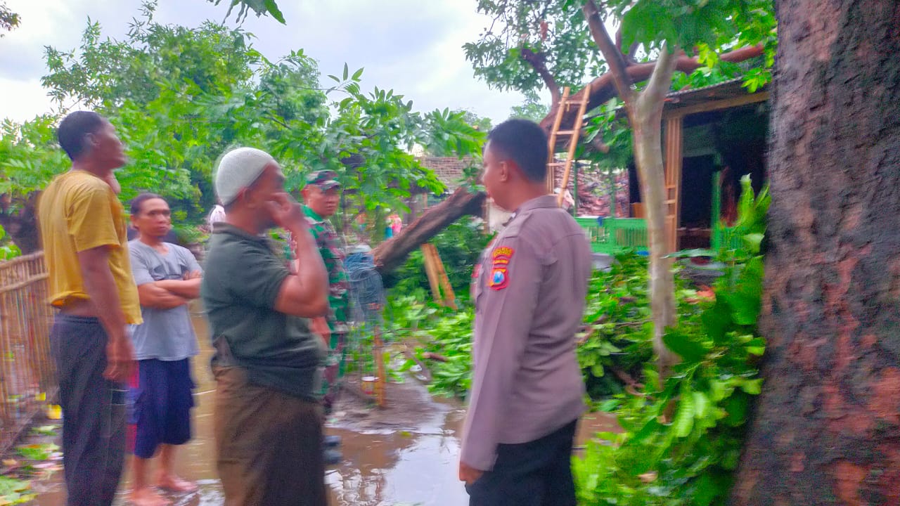 Rumah Warga Rusak Akibat Diterjang Puting Beliung, Bhabinkamtibmas Dan Forkopimcam Prajekan Tinjau Lokasi