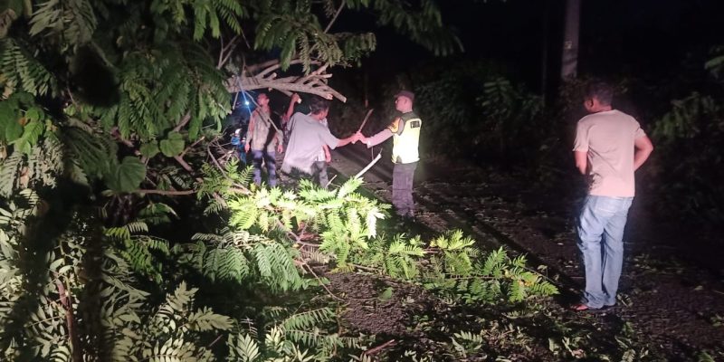 Momen Gotong-Royong : Anggota Polsek Tulis dan Warga Bersihkan Pohon Tumbang Di Desa Kenconorejo