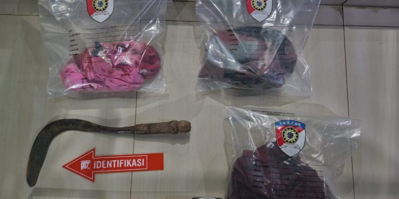 Diduga Gangguan Jiwa Ibu Aniaya Anak, Polres Musi Rawas dan Polsek Muara Kelingi Sigap Langsung Amankan Pelaku