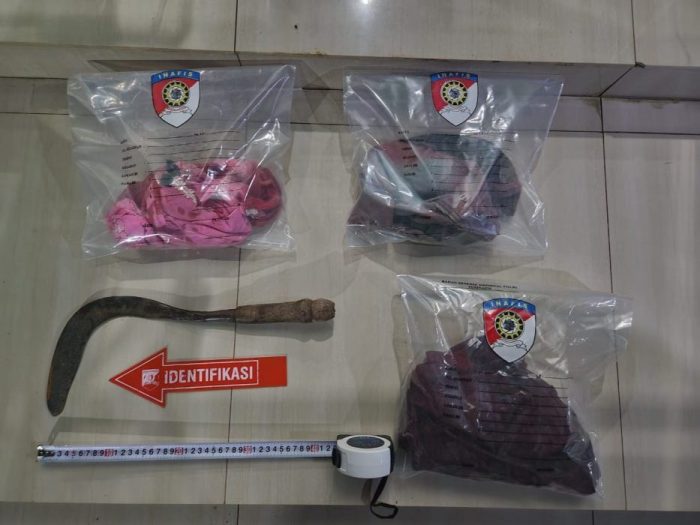 Diduga Gangguan Jiwa Ibu Aniaya Anak, Polres Musi Rawas dan Polsek Muara Kelingi Sigap Langsung Amankan Pelaku