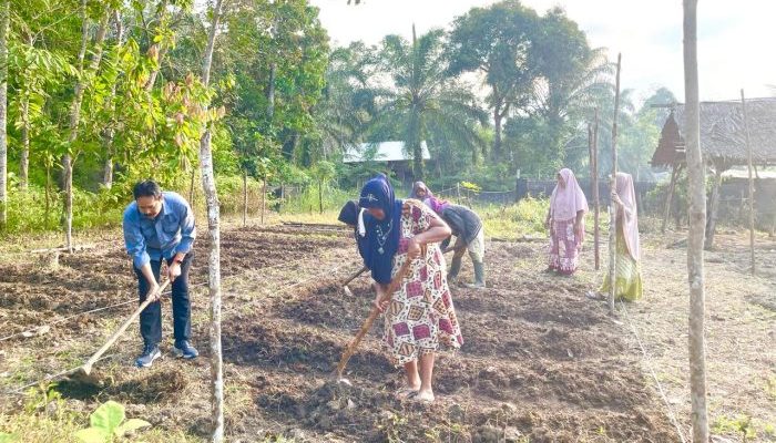 Dukung Ketahanan Pangan, Medco E&P Bina Lima Kelompok Tani Perempuan Aceh Timur