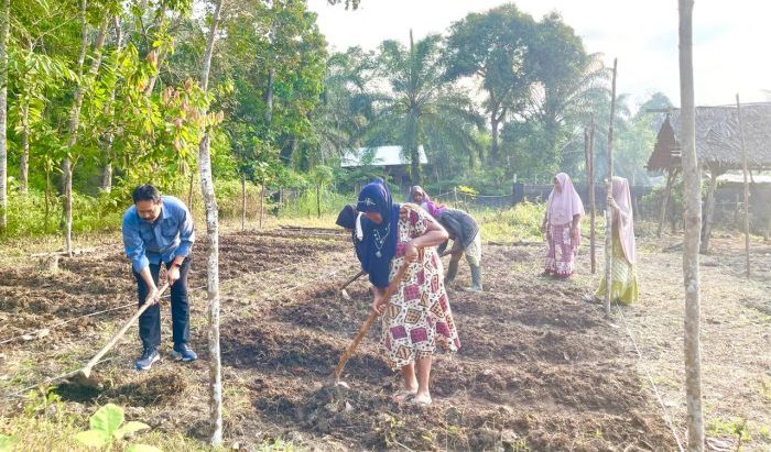 Dukung Ketahanan Pangan, Medco E&P Bina Lima Kelompok Tani Perempuan Aceh Timur