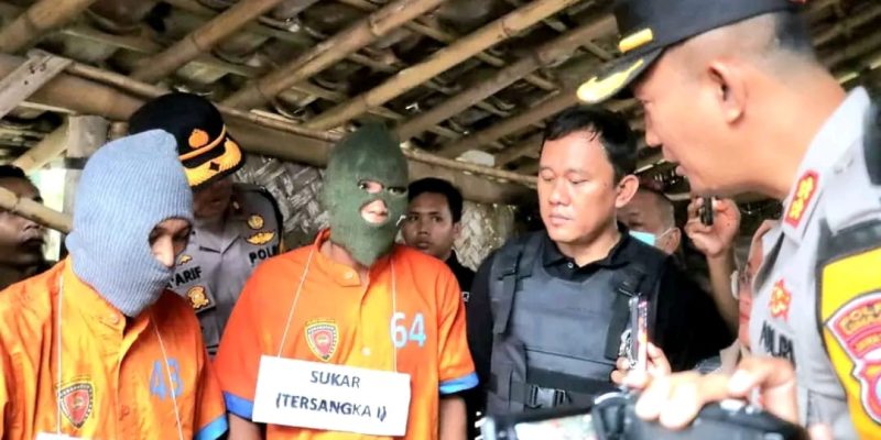 Polisi Berhasil Amankan Dua Tersangka Pencuri Sapi di Lumajang