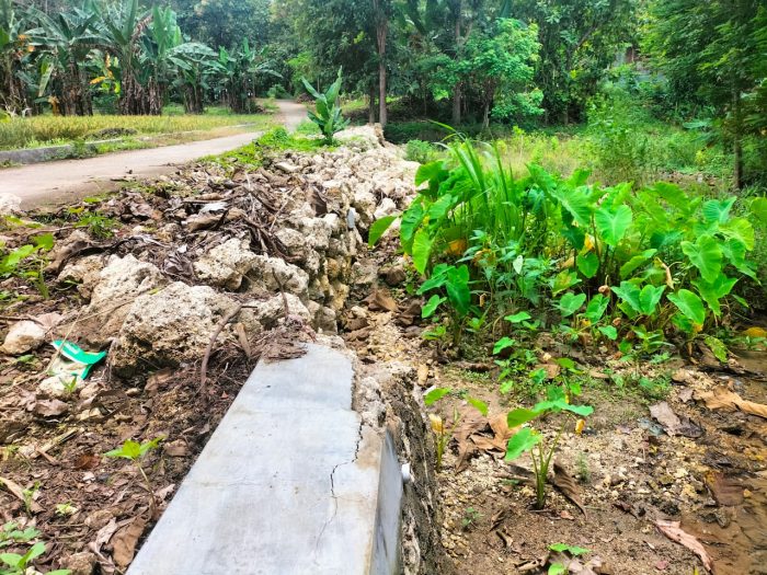 TPT Ambrol Dibiarkan di Desa Ardirejo Kecamatan Sambeng