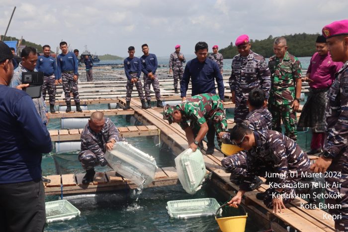 Gelar Bintahwilmar, Yonif 10 Marinir/SBY Ajak Masyarakat Pesisir Budidayakan Ikan Laut