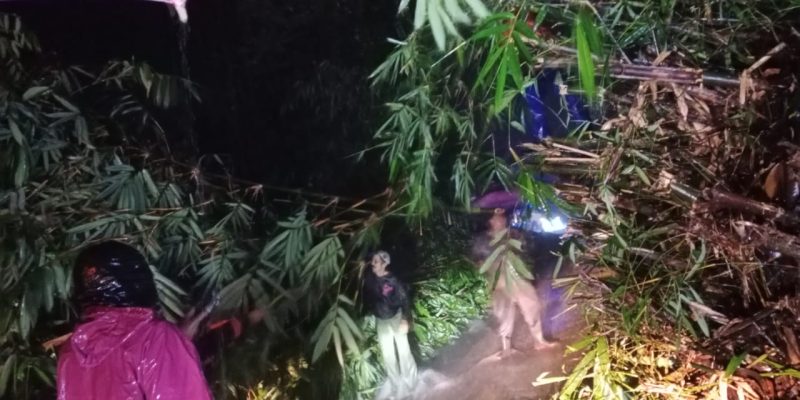 Longsor di Paninggaran Akibatkan Dapuran Pohon Bambu Terseret dan Menutup Jalan