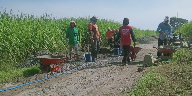 Diduga Kades Barurejo Kuasai Anggaran Proyek PAD Desa, TPK Tak Difungsikan