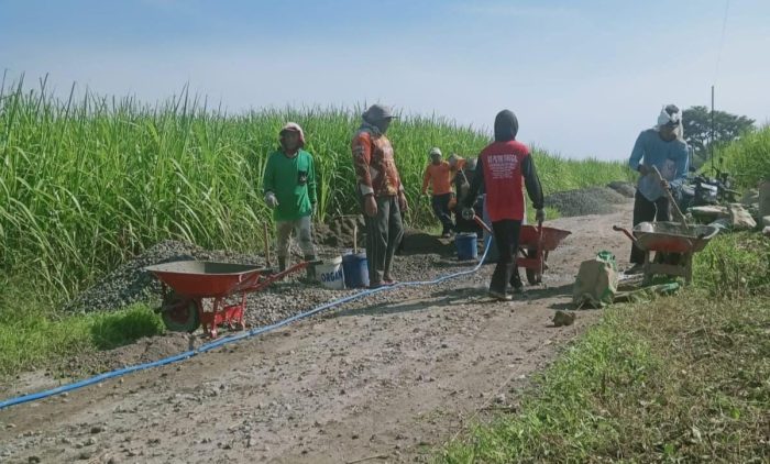 Diduga Kades Barurejo Kuasai Anggaran Proyek PAD Desa, TPK Tak Difungsikan