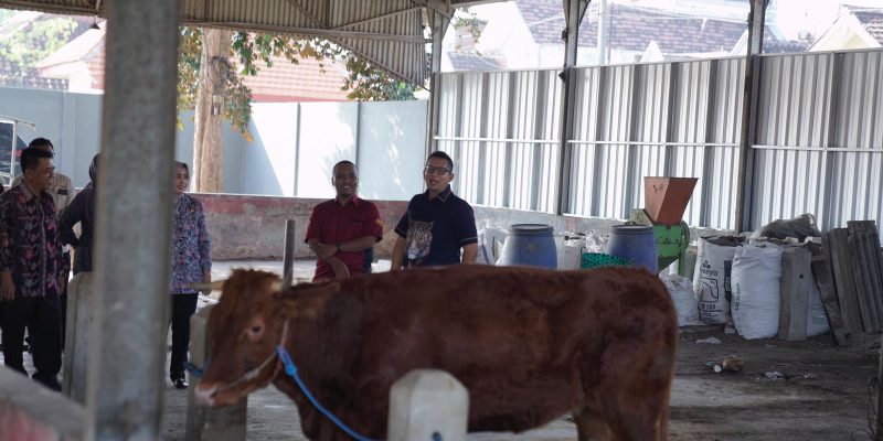 Jelang Idul Adha, Pemkot Mojokerto Akan Perketat Pengawasan Kesehatan Hewan Qurban