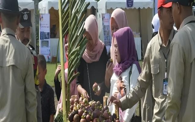 Ribuan Hektar Lahan Perkebunan Manggis Di Kabupaten Purwakarta Disertifikasi
