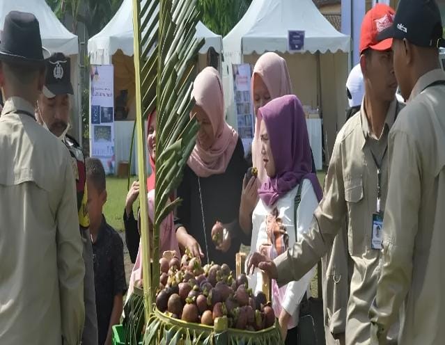 Ribuan Hektar Lahan Perkebunan Manggis Di Kabupaten Purwakarta Disertifikasi