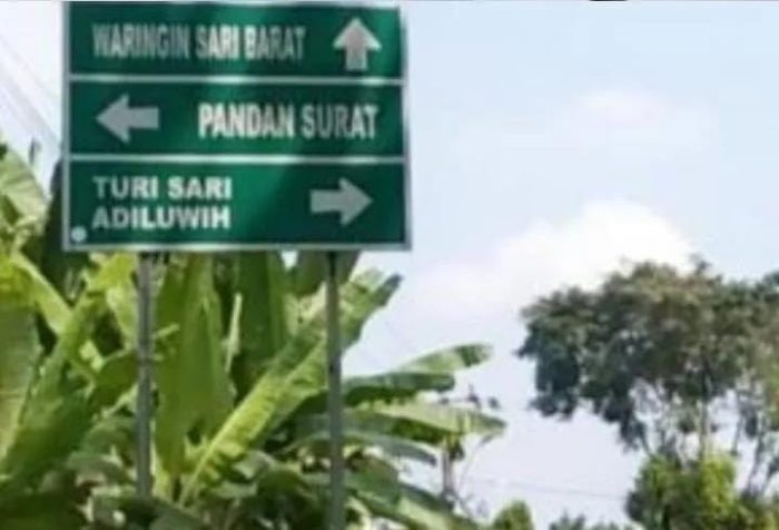 Masyarakat Lor Kali Berharap Ada Calon Bupati atau Calon wakil Bupati Kabupaten Pringsewu