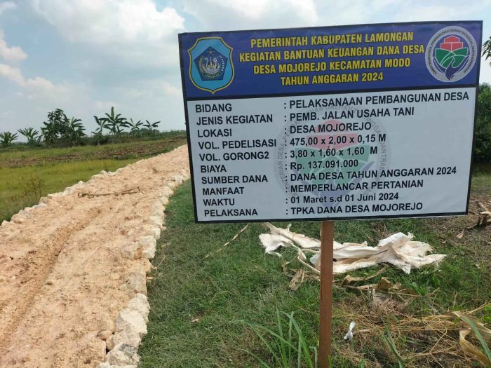 Proyek Jalan Usaha Tani Tak Kunjung Selesai, Begini Penjelasan Kades Mojorejo