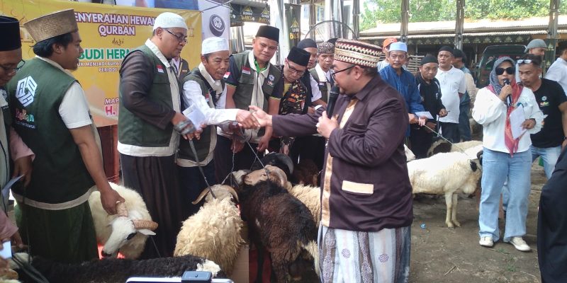 Presiden RBH H.Budi Hermawan Bacalon Bupati Purwakarta Serahkan 200 Ekor Hewan Qurban Domba Dan Sapi.