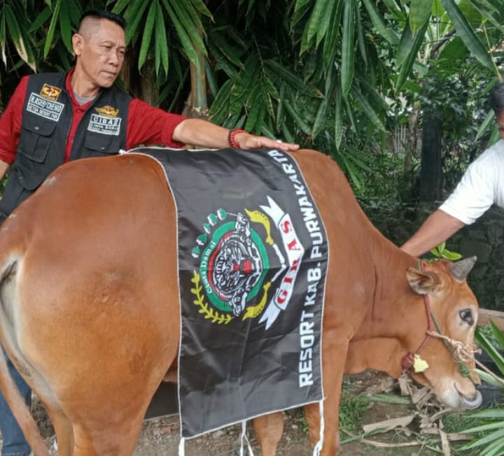 Di Hari Raya Idul Adha 1445 H Ketua Gibas Resort Purwakarta Asep Cheno Adakan Penyembelihan Hewan Qurban.
