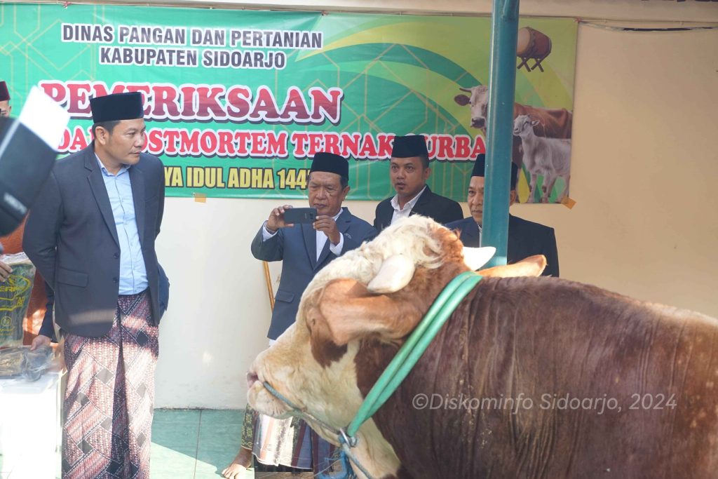 Pemkab Sidoarjo Serahkan Sapi Kurban 1 TON, H. Subandi Berharap Berkah Buat Semua