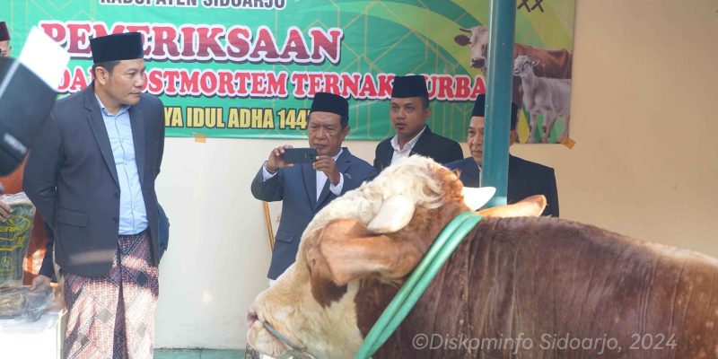 Pemkab Sidoarjo Serahkan Sapi Kurban 1 TON, H. Subandi Berharap Berkah Buat Semua