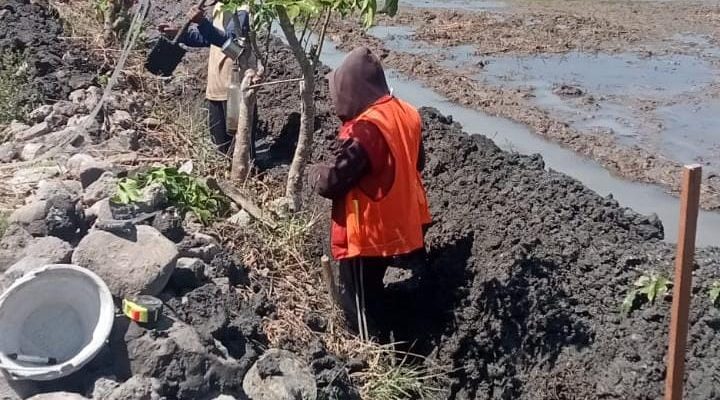 Penahan Badan Jalan di Desa Mancon Kecamatan Wilangan Mulai di Kerjakan