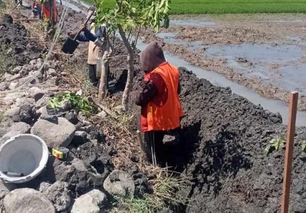 Penahan Badan Jalan di Desa Mancon Kecamatan Wilangan Mulai di Kerjakan
