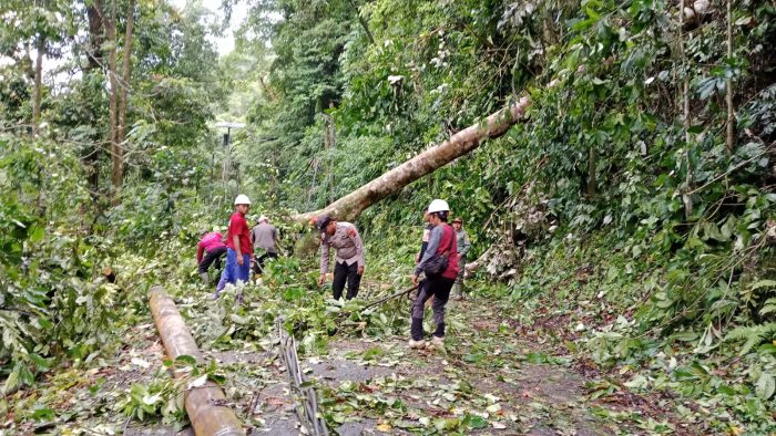 Polisi Evakuasi Pohon Tumbang yang Menutupi Jalan Raya Karanganyar – Lebakbarang