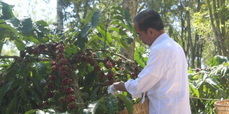 Danrem043/Gatam Bersama Pangdam II/Sriwijaya Amankan Kunjungan Presiden RI Joko Widodo Di Lampung Barat Dan Tanggamus