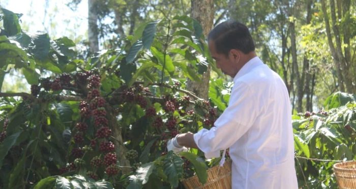 Danrem043/Gatam Bersama Pangdam II/Sriwijaya Amankan Kunjungan Presiden RI Joko Widodo Di Lampung Barat Dan Tanggamus