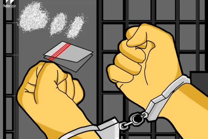 Satresnarkoba Polisi Batang Bekuk Pengedar Narkoba, 2 Paket Sabu Disita