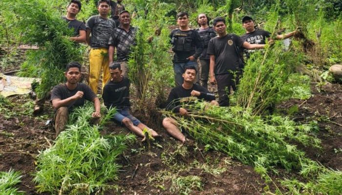 Ungkap Narkoba di Semester I 2024, Polda Sumsel Selamatkan 2,2 Juta Jiwa