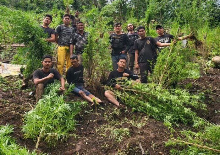 Ungkap Narkoba di Semester I 2024, Polda Sumsel Selamatkan 2,2 Juta Jiwa