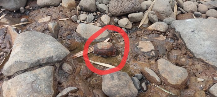 Sebuah Granat Nanas Ditemukan Warga di Tepi Sungai Gupit Kajen