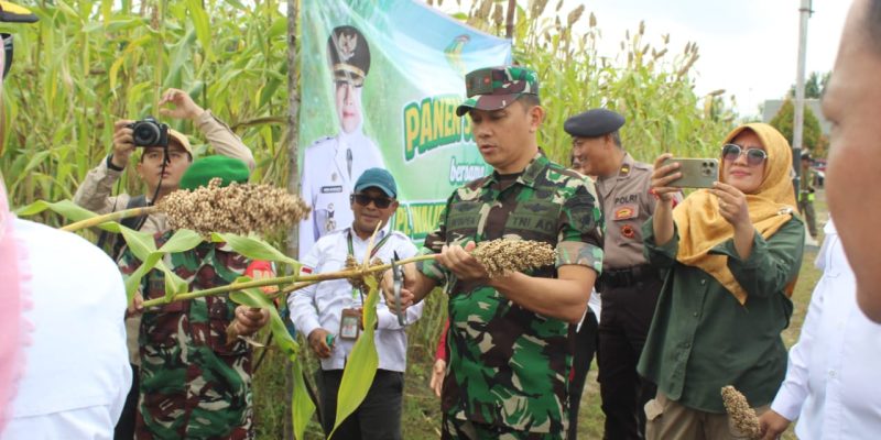 Dandim 1016/Plk Panen Sorghum Bersama Pj Walikota Palangka Raya