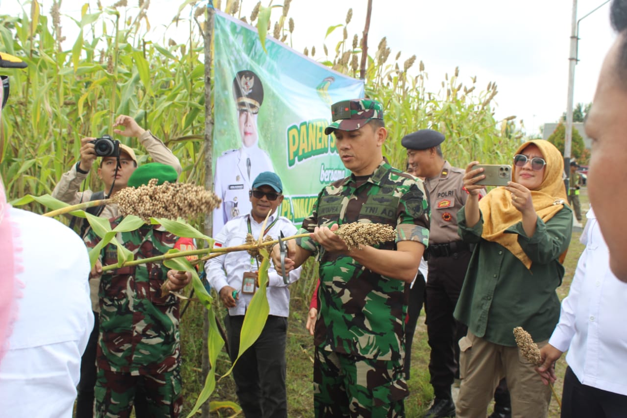 Dandim 1016/Plk Panen Sorghum Bersama Pj Walikota Palangka Raya