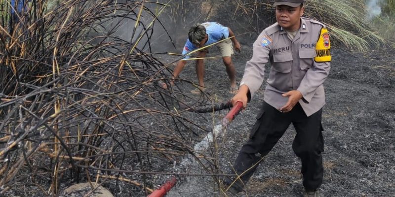 Bakar Tumpukan Ranting, Dua Hektar Lahan di Pekalongan Ikut Terbakar