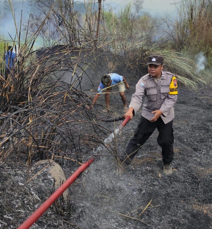 Bakar Tumpukan Ranting, Dua Hektar Lahan di Pekalongan Ikut Terbakar