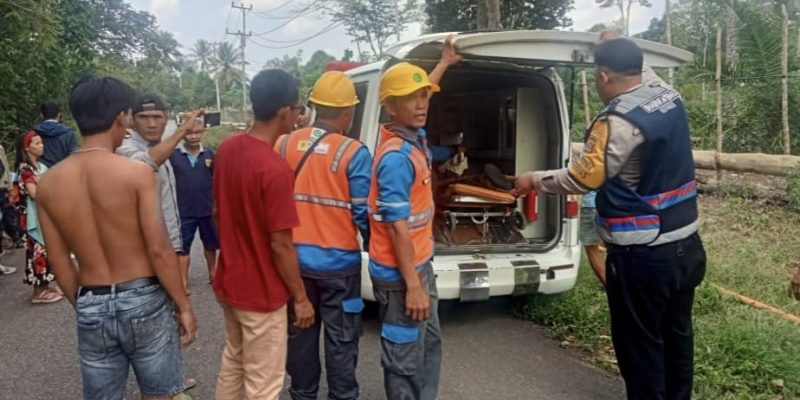 Sigap Evakuasi Petugas PLN Tersengat Aliran Listrik