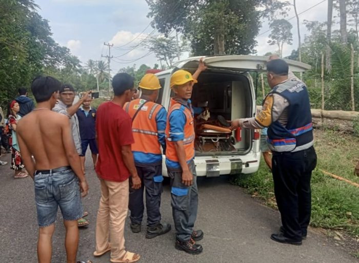 Sigap Evakuasi Petugas PLN Tersengat Aliran Listrik
