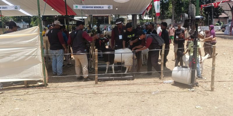 Mitra Dinas Ketahanan Pangan dan Pertanian serta Komunitas Pecinta Hewan Meriahkan Pasar Murah di Hari Jadi Kabupaten Pasuruan ke-1095