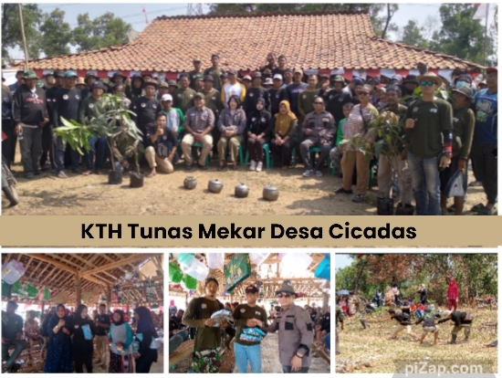 KTH Tunas Mekar Desa Cicadas BBC Adakan Kegiatan Perlombaan Kemerdekaan RI Yang Ke-79 Tahun 2024