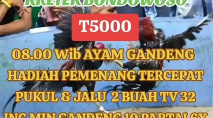 Judi 303 Omset Ratusan Juta Di Desa Kretek Bondowoso Tak Tersentuh Hukum