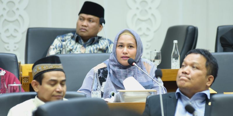 Karmila Harap BK DPR RI Bantu Baleg Pastikan Tidak Ada UU yang Tumpang Tindih