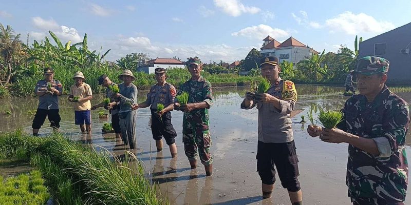 Aksi Kolaboratif TNI-POLRI Wujudkan Ketahanan Pangan