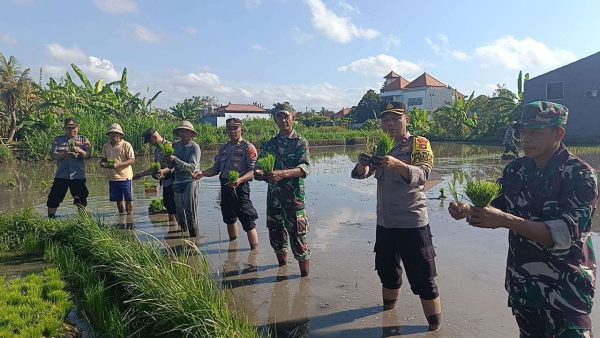 Aksi Kolaboratif TNI-POLRI Wujudkan Ketahanan Pangan