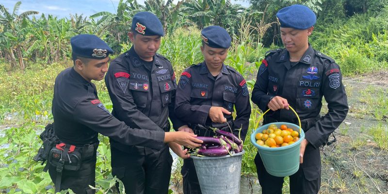 Tingkatkan Ketahanan Pangan di 3 Lokasi, Brimob Kalteng Siap Wujudkan Kemandirian Wilayah