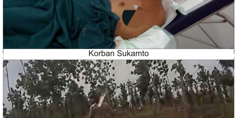 Publikasikan Serentak! Kriminal Berat Terhadap Anggota PJI dan Pelecehan UU Pers.