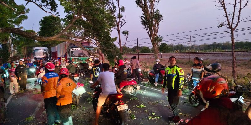 PBD dan Warga Atasi Patahan Pohon di Jalan Kedungsuko