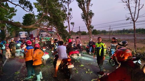 PBD dan Warga Atasi Patahan Pohon di Jalan Kedungsuko