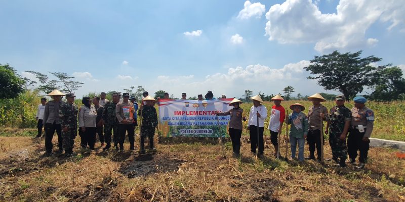 Dukung Swasembada Pangan, Polsek Sukorejo Tanam Jagung di Lecari