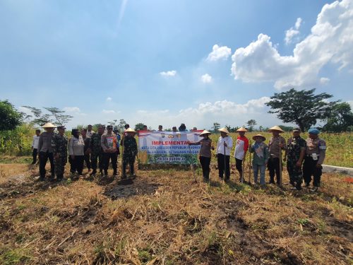 Dukung Swasembada Pangan, Polsek Sukorejo Tanam Jagung di Lecari