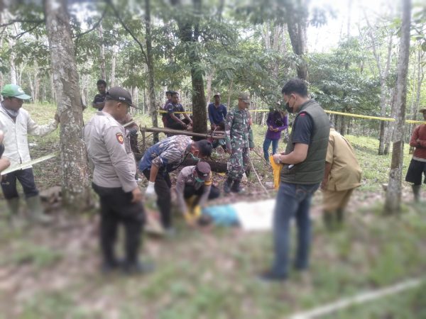 Polsek Jayaloka Polres Musi Rawas Sigap Olah TKP dan Evakuasi Penemuan Jenazah Warga Desa Ngestiboga II di Kebun Karet